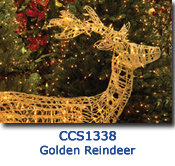 Golden Reindeer Charity Select Holiday Card